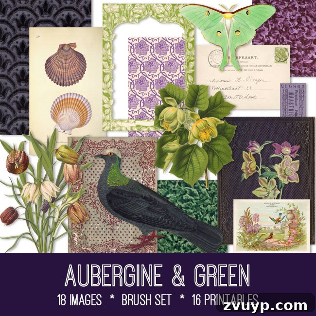 Aubergine and Green Kit Graphics Fairy Premium Membership 2 Beautiful aubergine and green vintage images bundle showcase