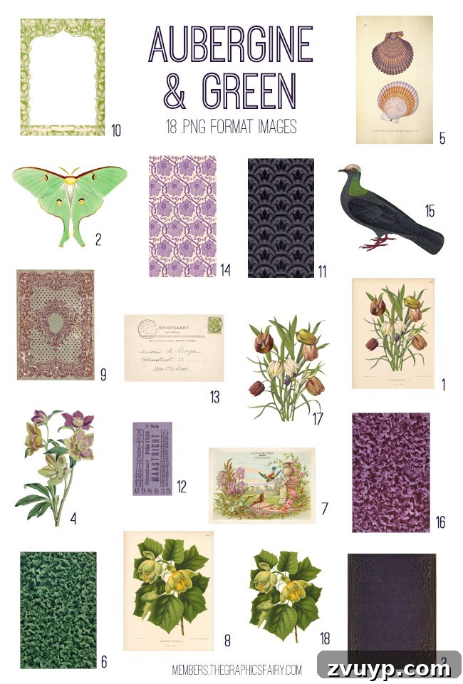 Aubergine and Green Kit Graphics Fairy Premium Membership 4 Detailed list of vintage aubergine & green ephemera digital images included in the bundle