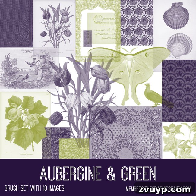 Aubergine and Green Kit Graphics Fairy Premium Membership 5 Showcase of the vintage aubergine & green ephemera Photoshop brush set