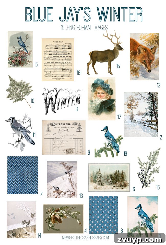 Graphics Fairy'nin Seçkin Kış Mavi Baştankara Sanat Koleksiyonu 3 Vintage Blue Jay's Winter ephemera digital image bundle preview