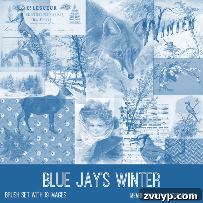 Graphics Fairy'nin Seçkin Kış Mavi Baştankara Sanat Koleksiyonu 4 Vintage Blue Jay's Winter ephemera brush set preview