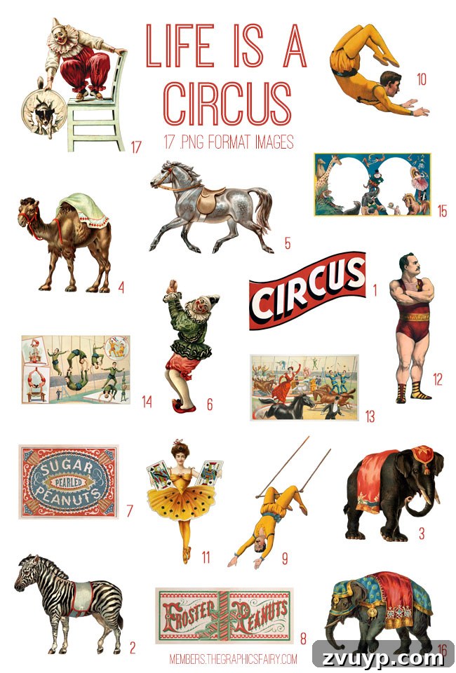 Graphics Fairy's Big Top Life Creative Kit 2 vintage Life is a Circus ephemera digital image bundle preview