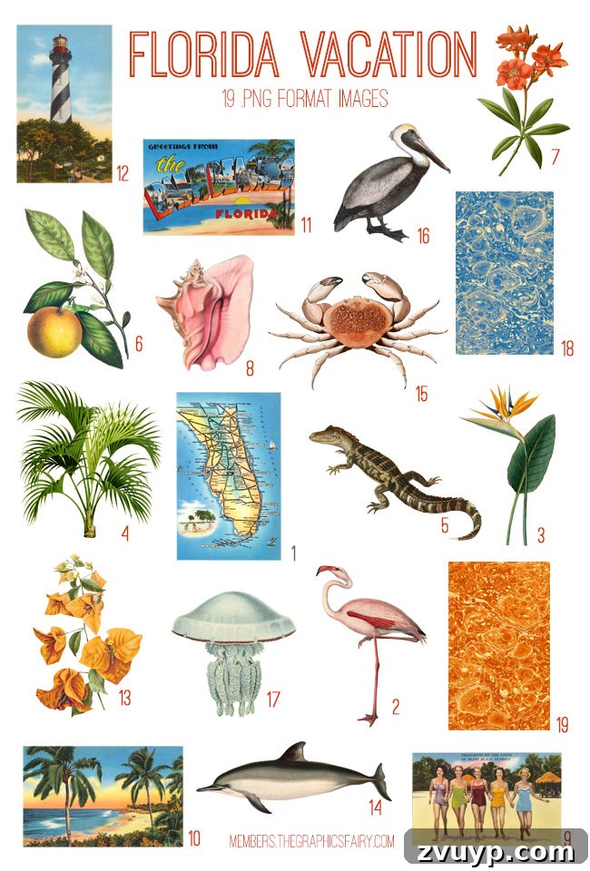 Vintage Florida Vacation ephemera digital image bundle for personal and commercial projects