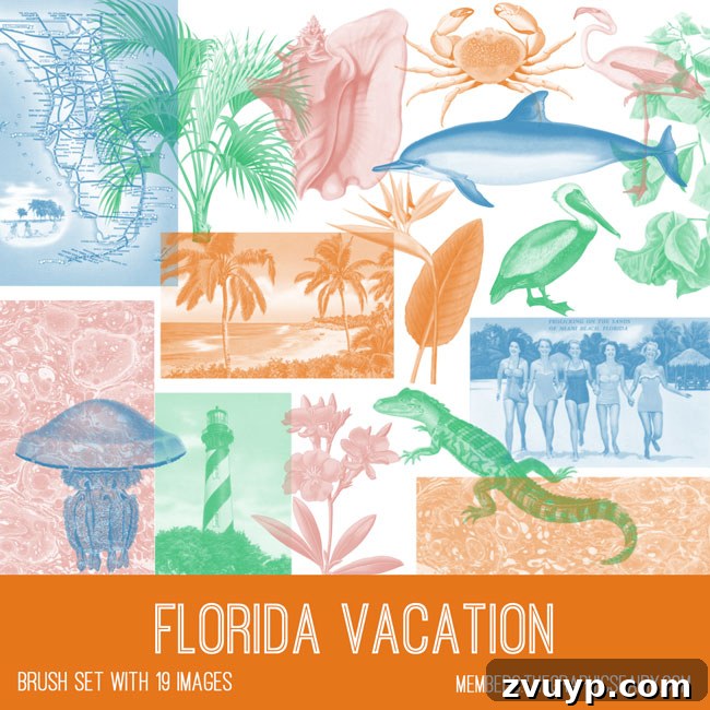 Vintage Florida Vacation ephemera Photoshop brush set for digital artists
