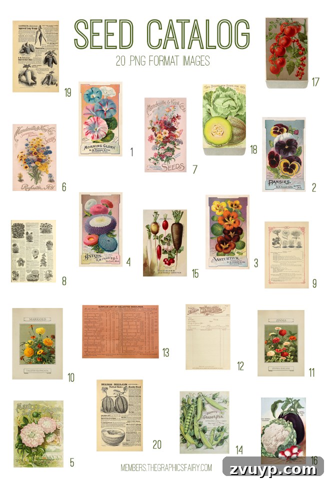 Vintage Seed Catalog Ephemera Digital Image Bundle Preview