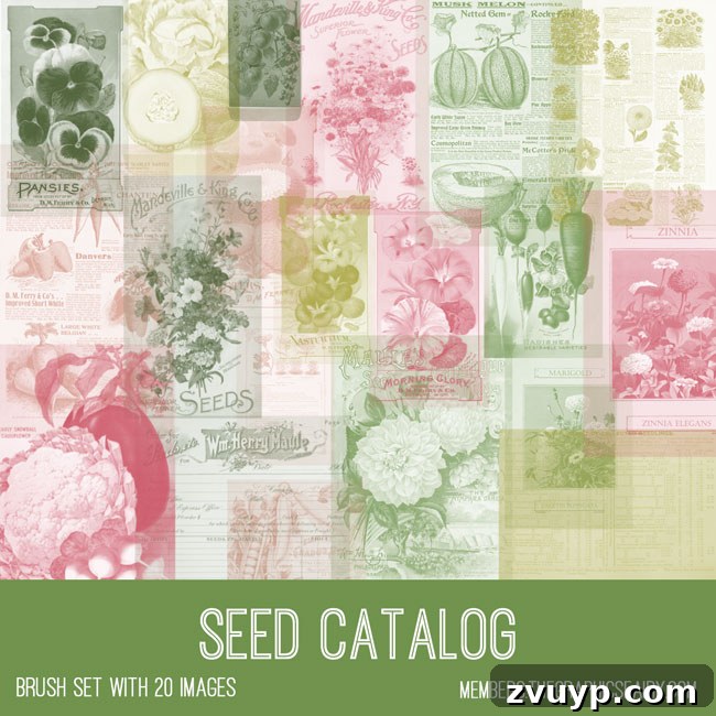 Vintage Seed Catalog Ephemera Photoshop Brush Set Preview