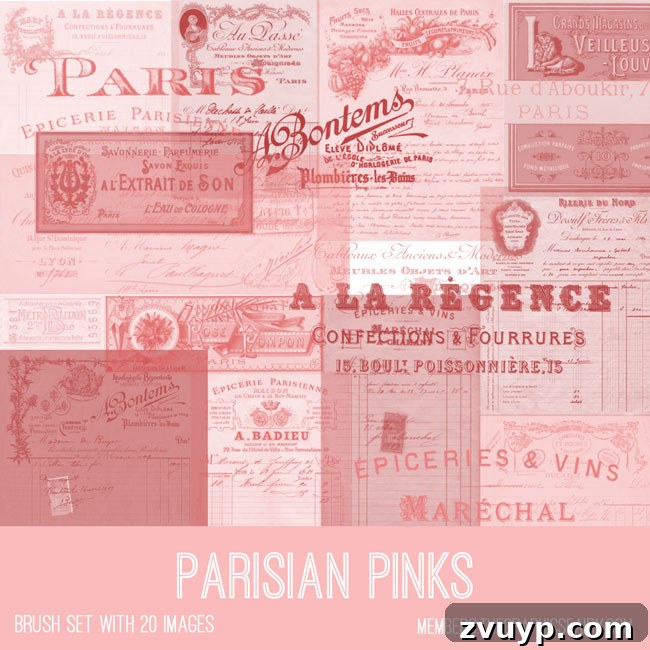 Graphics Fairy Premium Parisian Pinks Collection 3 Vintage Parisian Pinks Ephemera Photoshop Brush Set