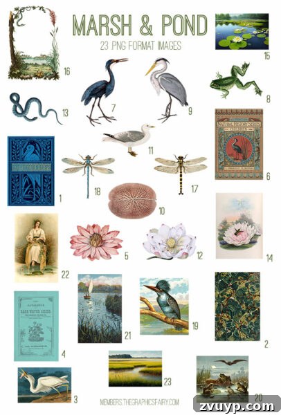 vintage Marsh and Pond ephemera digital image bundle preview