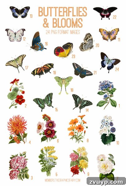 Vintage Butterflies & Blooms Ephemera Digital Image Bundle Preview showing intricate details