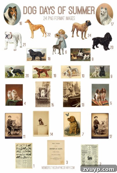 Graphics Fairy Premium Dog Days Summer Kit 2 Vintage Dog Days of Summer ephemera digital image bundle preview
