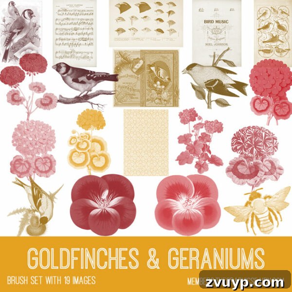 Vintage Goldfinches & Geraniums ephemera Photoshop brush set