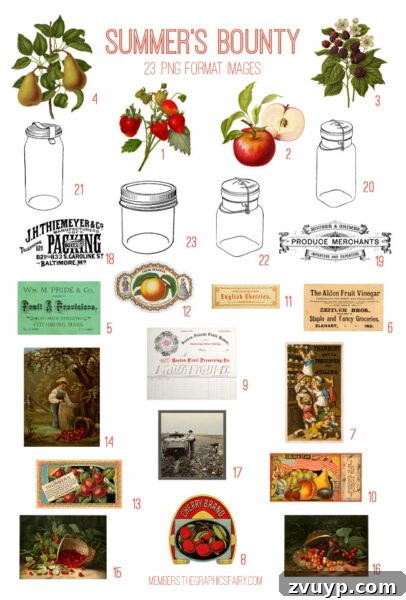 Vintage Summer's Bounty ephemera digital image bundle preview
