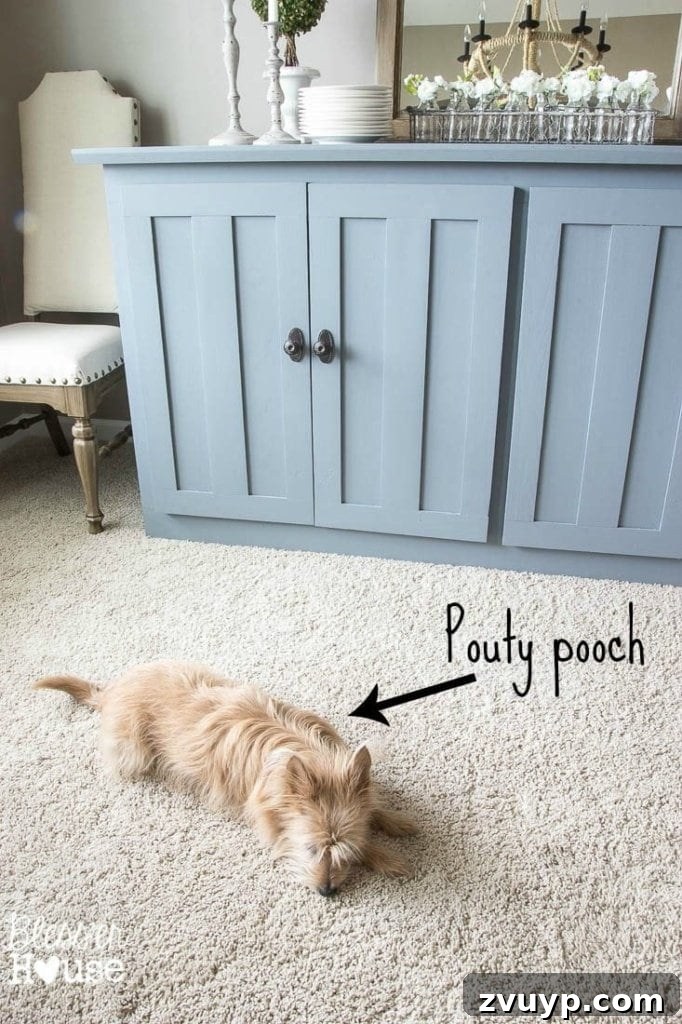 From Media Center to Dining Delight 15 Puppy Posing in the Dining Room Beside the Buffet | Bless'er House