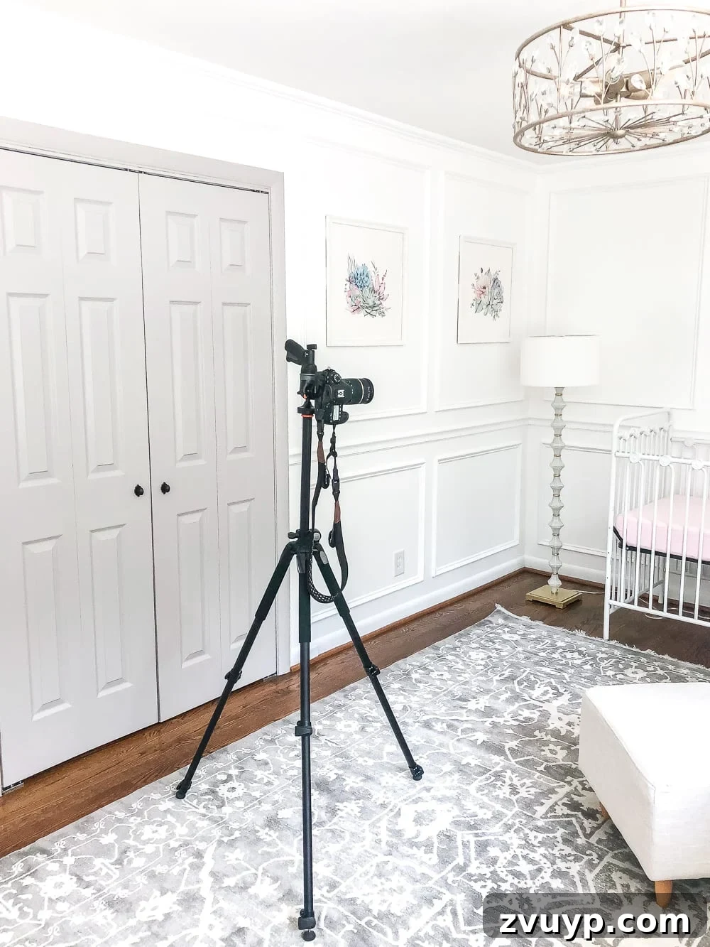 Your Path to Blogging Success Begins Here 9 camera photographing a room - how to become a blogger
