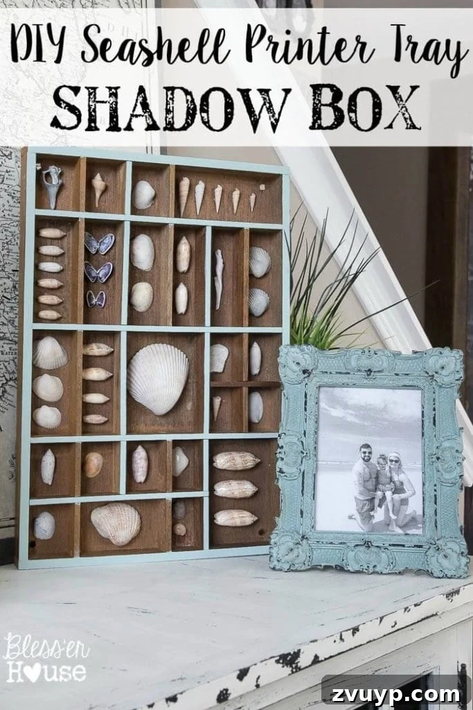 Coastal Seashell Shadow Box Vignette from an Upcycled Printer Tray 2 DIY Seashell Printer Tray Shadow Box + Coastal Vignette | Bless'er House