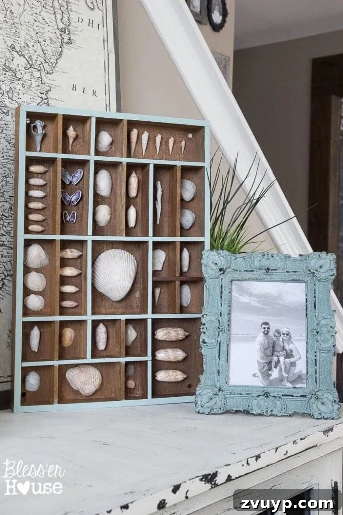 Coastal Seashell Shadow Box Vignette from an Upcycled Printer Tray 12 DIY Seashell Printer Tray Shadow Box + Coastal Vignette | Bless'er House