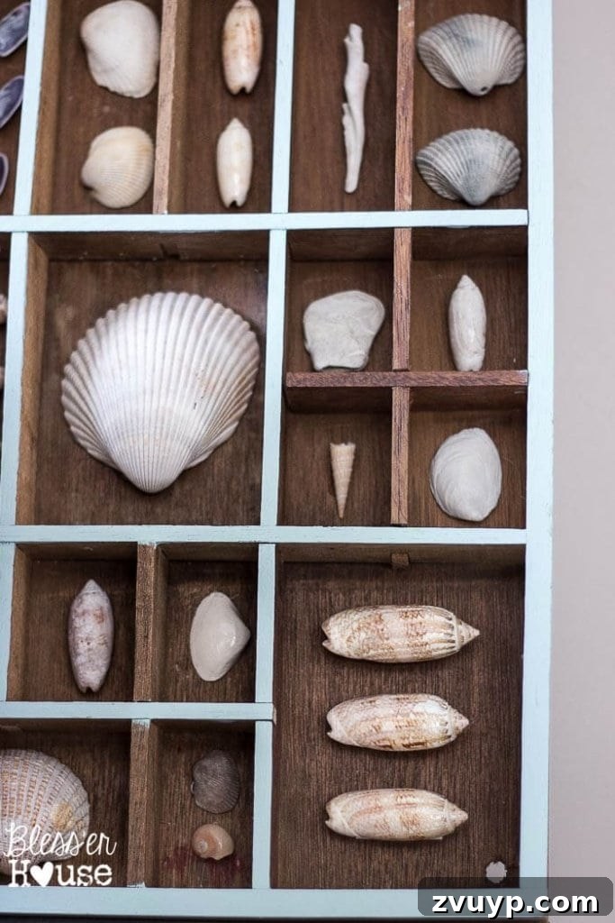 Coastal Seashell Shadow Box Vignette from an Upcycled Printer Tray 13 DIY Seashell Printer Tray Shadow Box + Coastal Vignette | Bless'er House