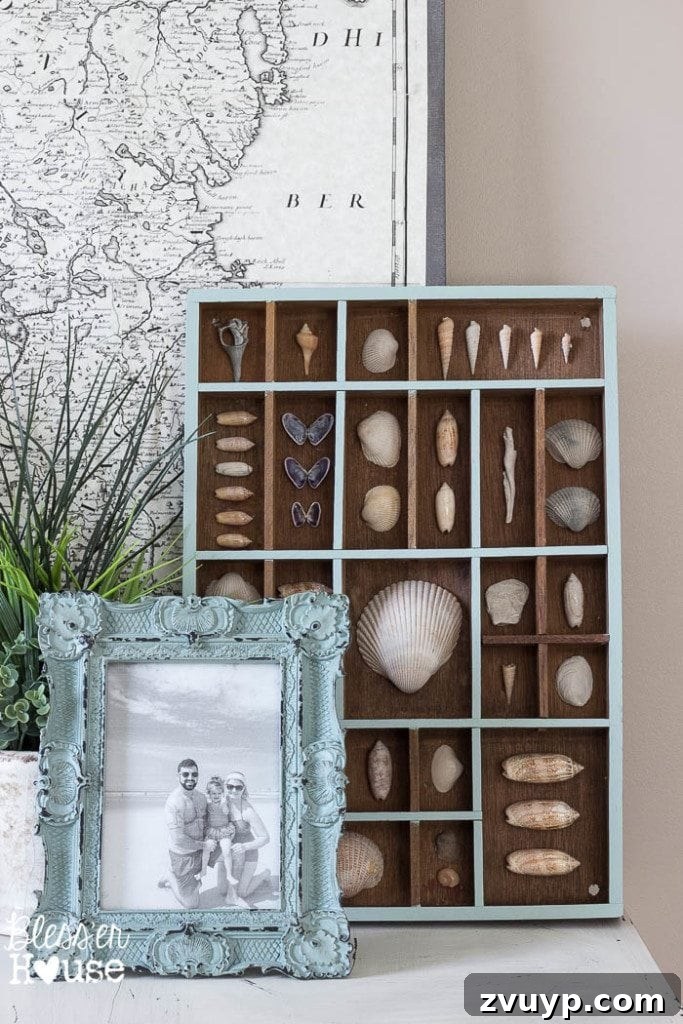 Coastal Seashell Shadow Box Vignette from an Upcycled Printer Tray 17 DIY Seashell Printer Tray Shadow Box + Coastal Vignette | Bless'er House