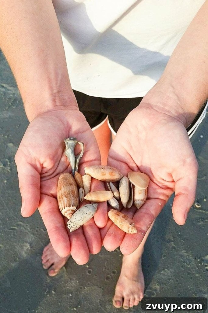 Coastal Seashell Shadow Box Vignette from an Upcycled Printer Tray 3 DIY Seashell Printer Tray Shadow Box + Coastal Vignette | Bless'er House