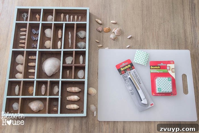 Coastal Seashell Shadow Box Vignette from an Upcycled Printer Tray 7 DIY Seashell Printer Tray Shadow Box + Coastal Vignette | Bless'er House