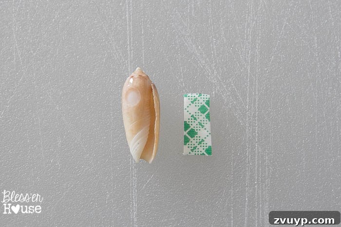 Coastal Seashell Shadow Box Vignette from an Upcycled Printer Tray 10 DIY Seashell Printer Tray Shadow Box + Coastal Vignette | Bless'er House