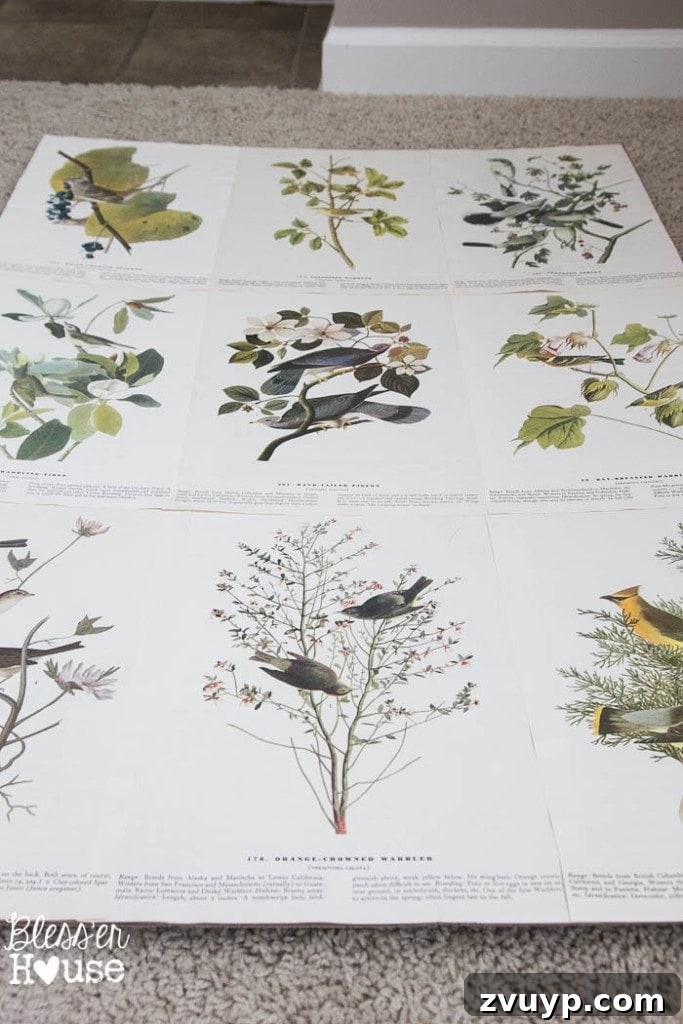 Vintage Book Page Botanical Creations 9 Applying spray adhesive to a book page before mounting.