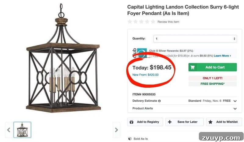 Your Exclusive Online Shopping Advantage 7 Beautiful pendant light offered at over 50% off via as-is shopping