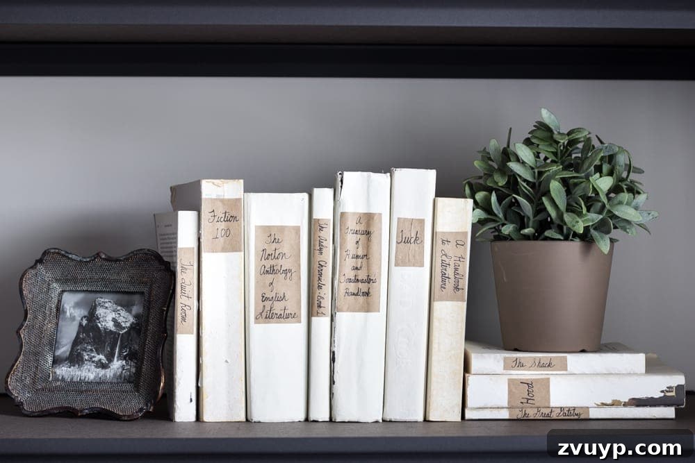 Overall view of stylish home office bookshelves with DIY French mute books