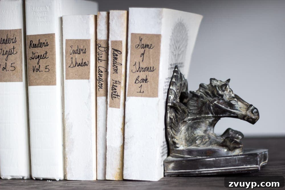 Final look of DIY French mute books on industrial office shelving