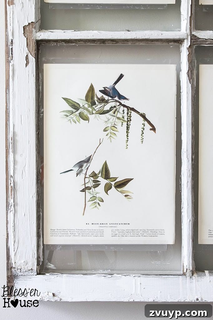Faux Window Frame Decor with Free Botanical Art Printables 7 Window with Taped Botanical Prints