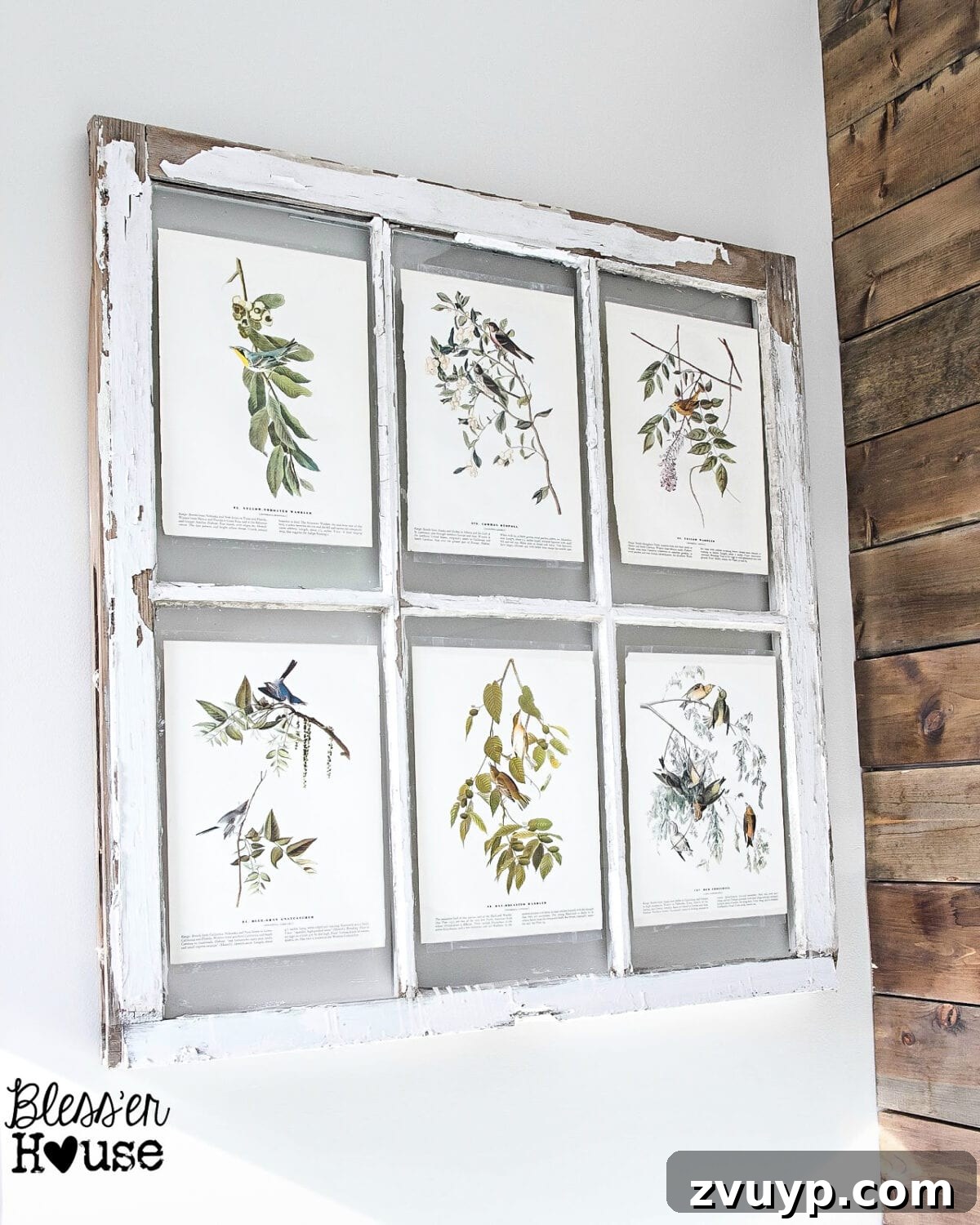Faux Window Frame Decor with Free Botanical Art Printables 8 Laminated Botanical Prints in Window Frame