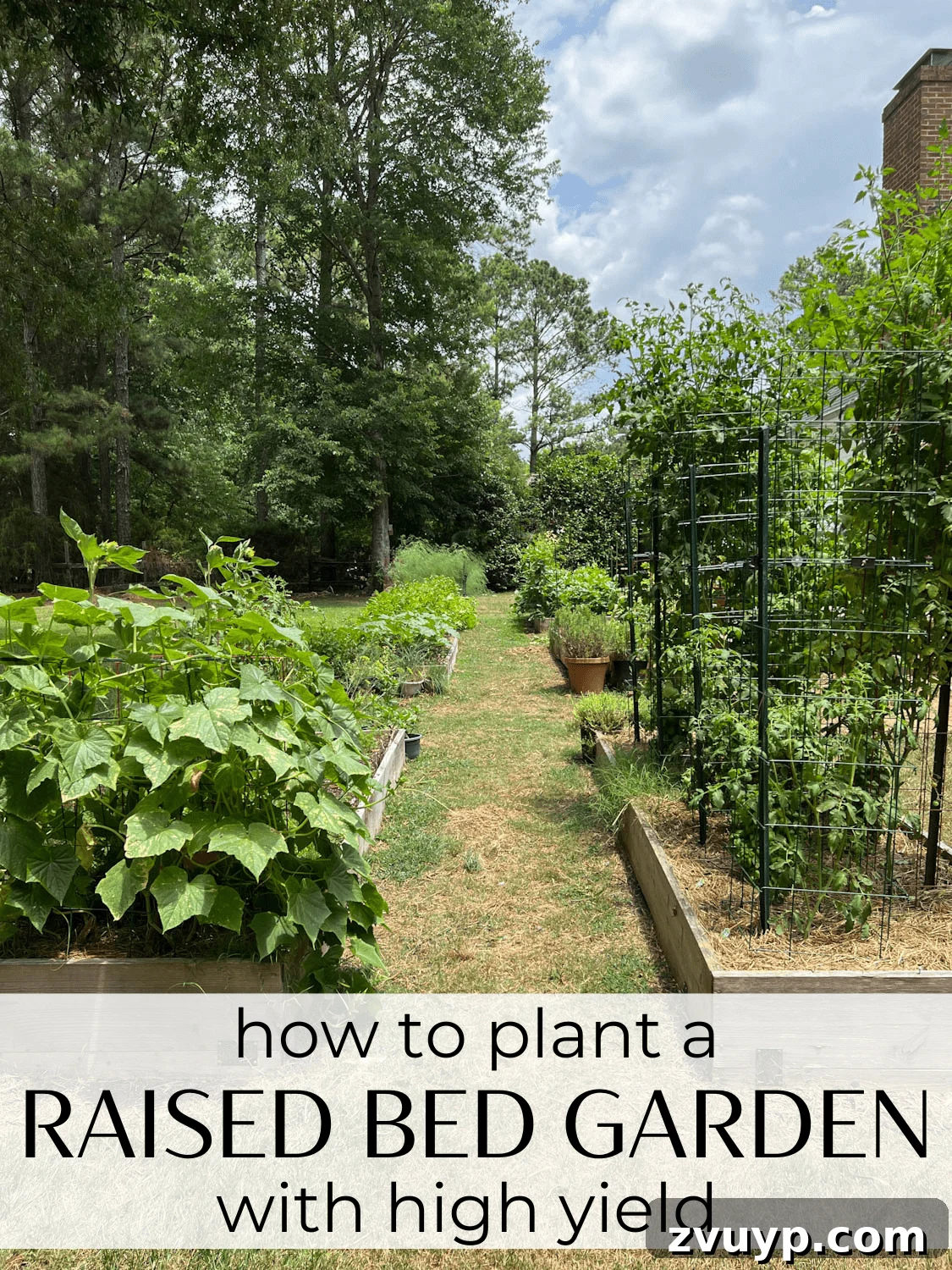 Bountiful Beds: Master High-Yield Raised Bed Vegetable Gardening 2 The tricks and secrets for how to plant a raised bed vegetable garden with high yield. A master gardener shares his best tips.