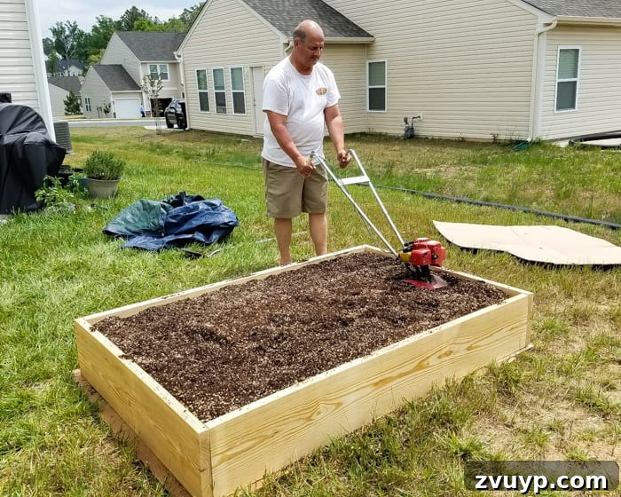 Bountiful Beds: Master High-Yield Raised Bed Vegetable Gardening 12 tilling soil mixture for preparing a raised bed vegetable garden frame