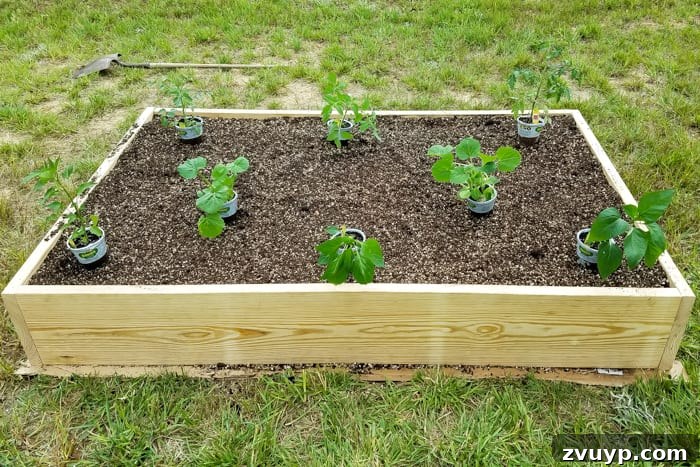 Bountiful Beds: Master High-Yield Raised Bed Vegetable Gardening 13 planning plant placements for preparing a raised bed vegetable garden frame
