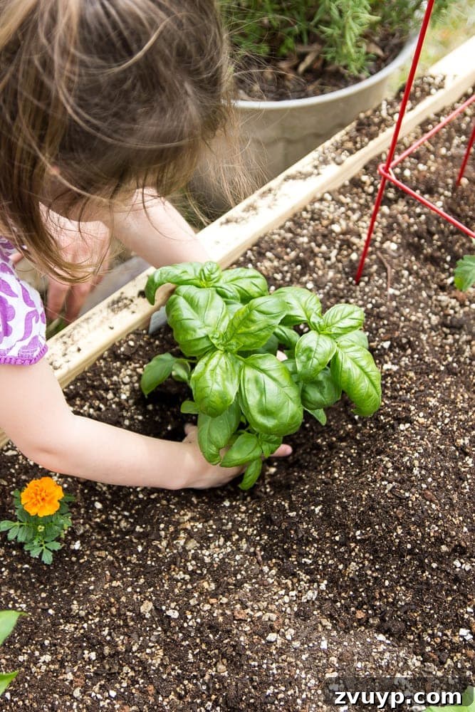 Bountiful Beds: Master High-Yield Raised Bed Vegetable Gardening 15 little girl planting basil in a backyard garden