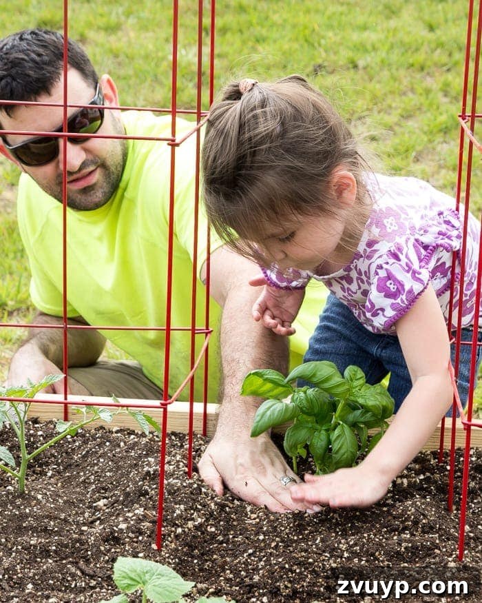 Bountiful Beds: Master High-Yield Raised Bed Vegetable Gardening 16 little girl and father planting basil in a backyard garden
