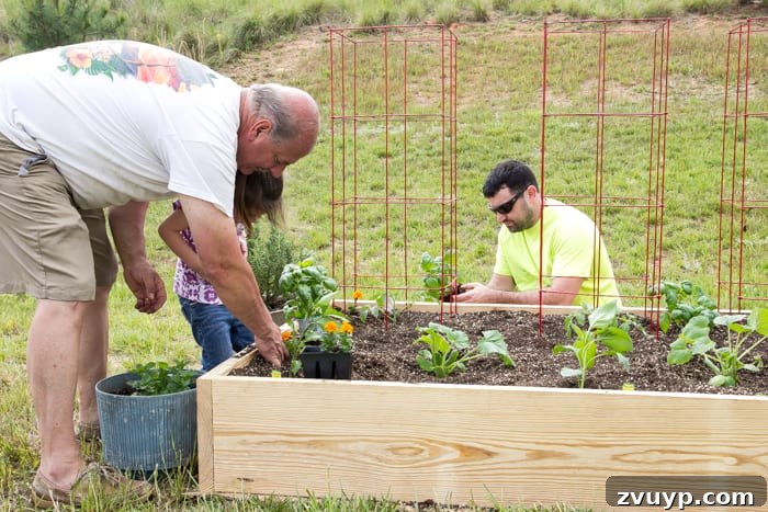 Bountiful Beds: Master High-Yield Raised Bed Vegetable Gardening 17 little girl, father, and grandfather planting vegetable plants