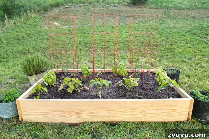 Bountiful Beds: Master High-Yield Raised Bed Vegetable Gardening 18 a newly built raised bed vegetable garden in a backyard