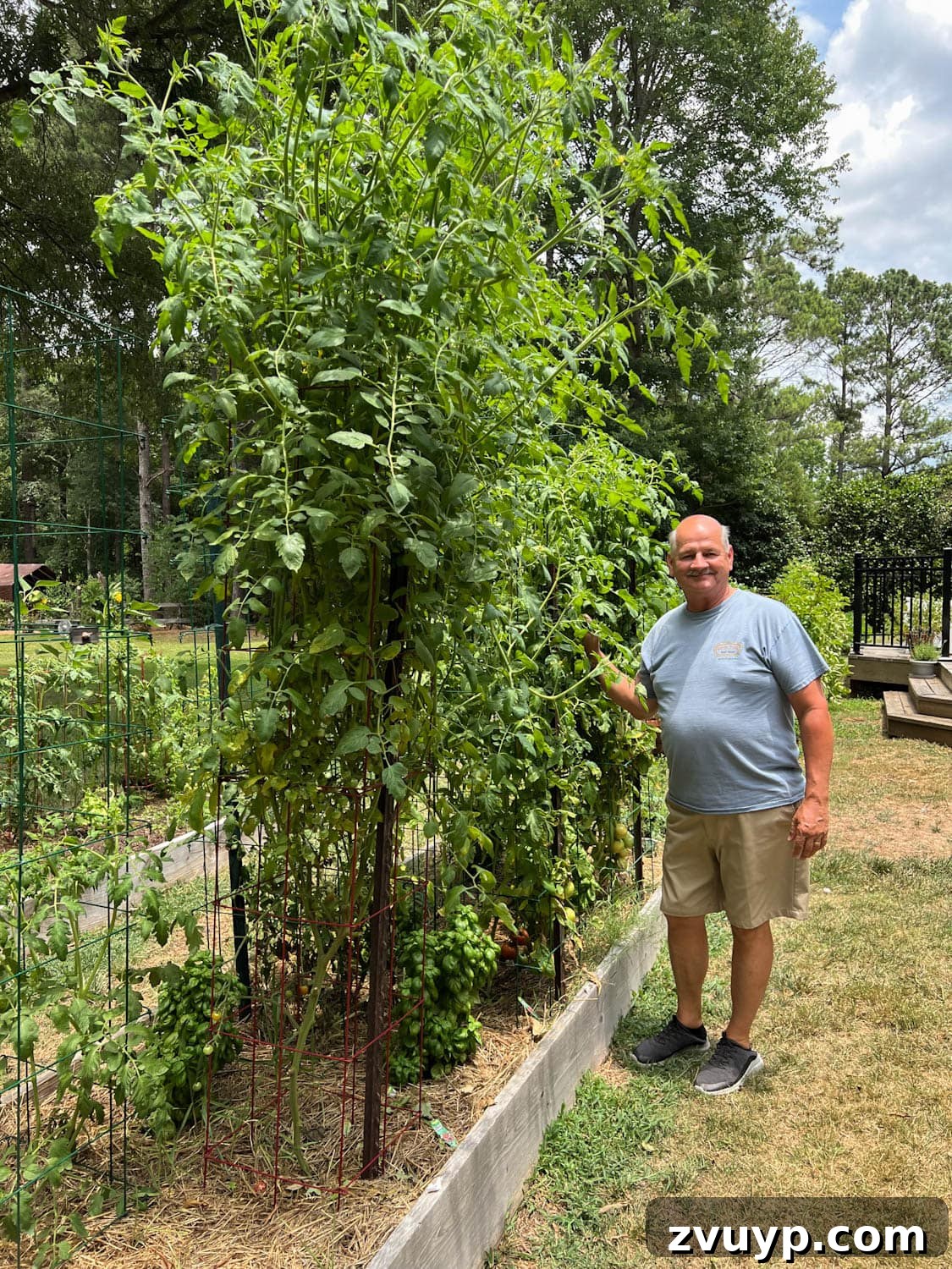 Bountiful Beds: Master High-Yield Raised Bed Vegetable Gardening 3 man standing next to a a 12 feet tall raised bed vegetable garden