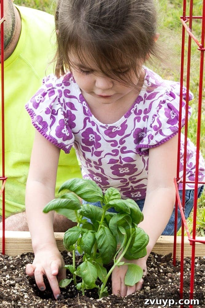 Bountiful Beds: Master High-Yield Raised Bed Vegetable Gardening 4 little girl planting basil in a raised bed vegetable garden