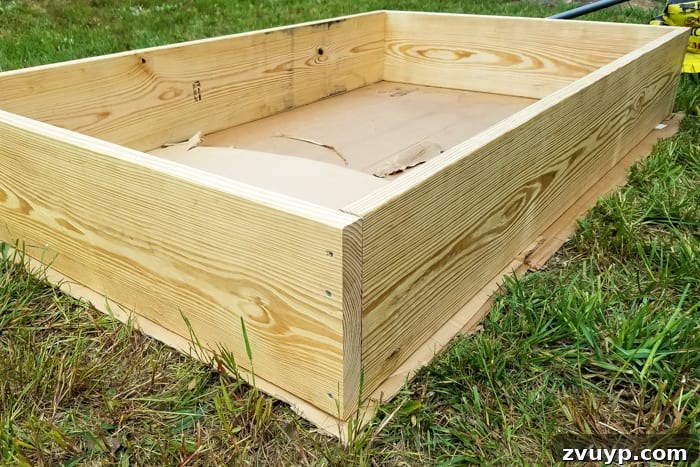Bountiful Beds: Master High-Yield Raised Bed Vegetable Gardening 10 laying cardboard in the base of a raised bed vegetable garden frame