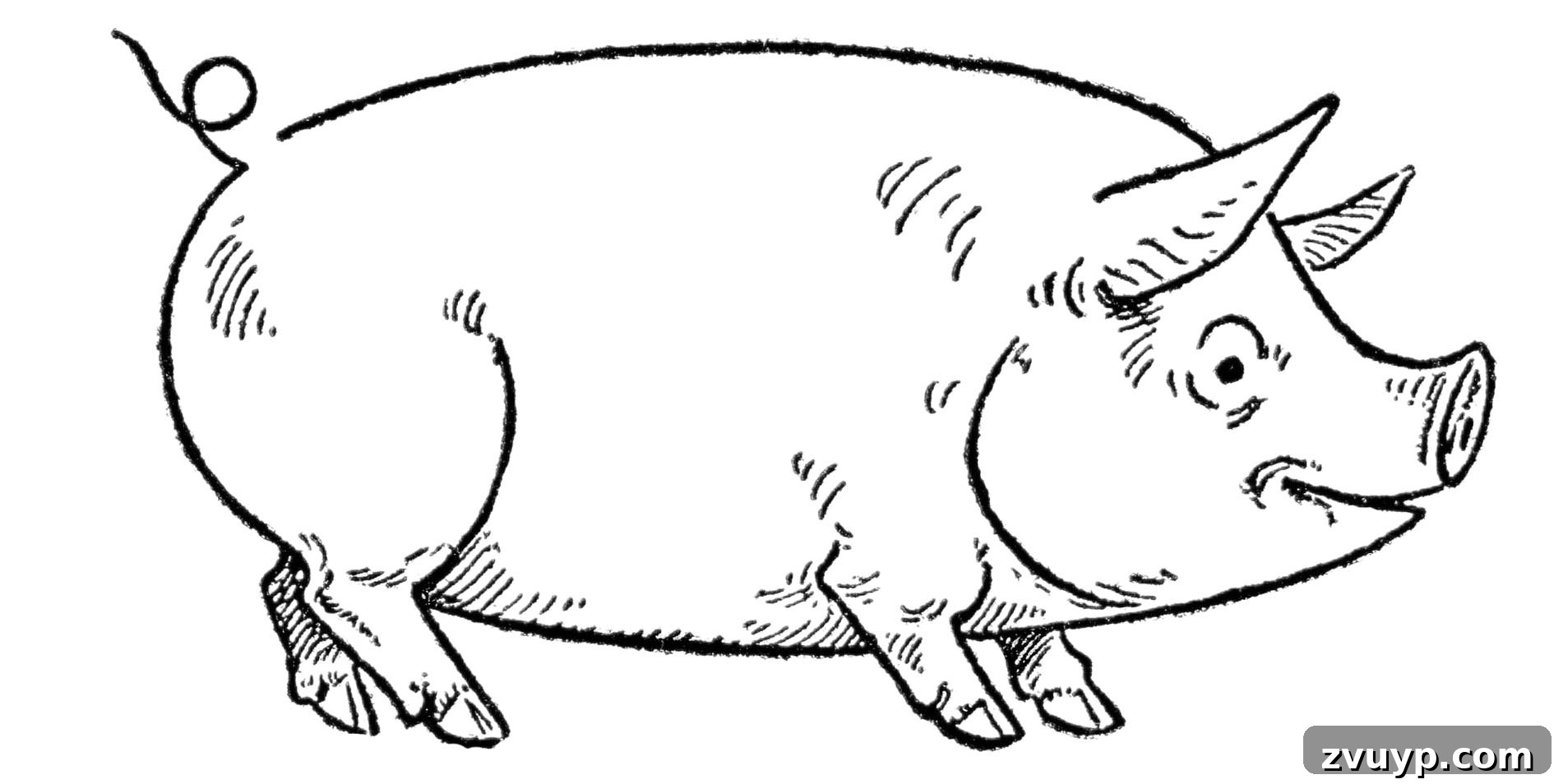 Drawing Pigs and Goats Made Easy 7 Easy Pig Drawing with details