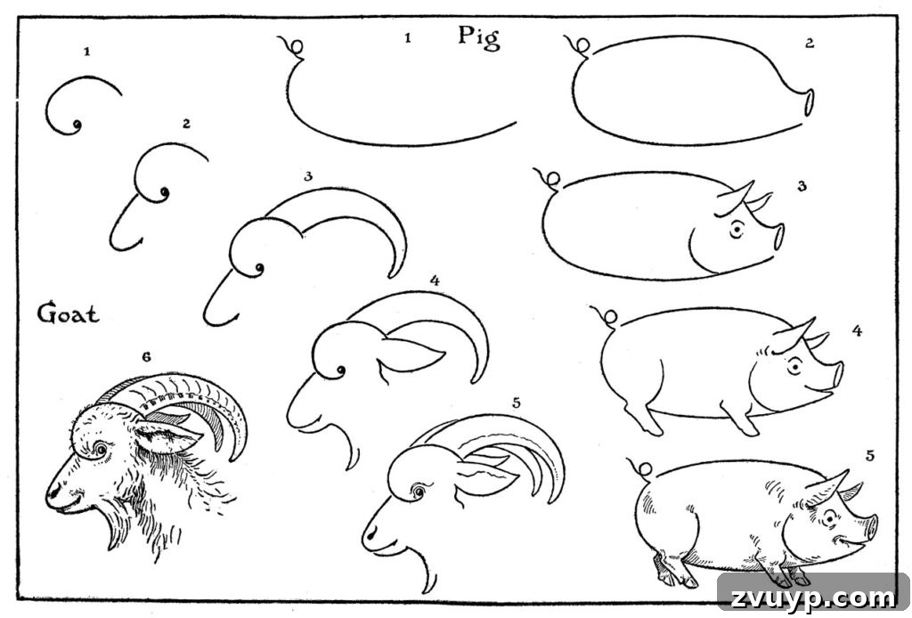 How to Draw Animals for Kids Worksheet