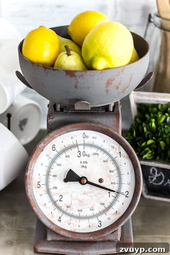 Rustic Revival: Faux Rust Vintage Scale 10 Faux Rusted Vintage Scale Makeover: Close-up of the transformed scale with faux rusted plastic bowl.