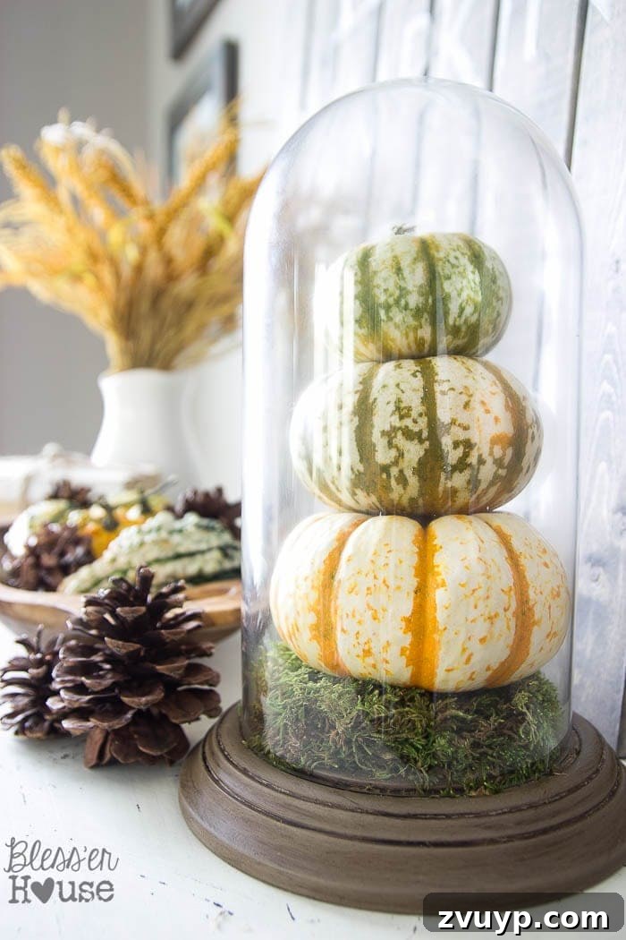 Dont Miss These 10 Thrift Store Gems 5 Upcycled dome clock transformed into a decorative cloche terrarium with seasonal decor