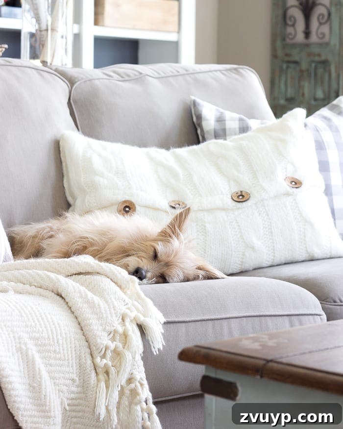 Autumn Home Decor Inspiration 24 Cozy Fall Living Room Essentials: Pillows and Blankets