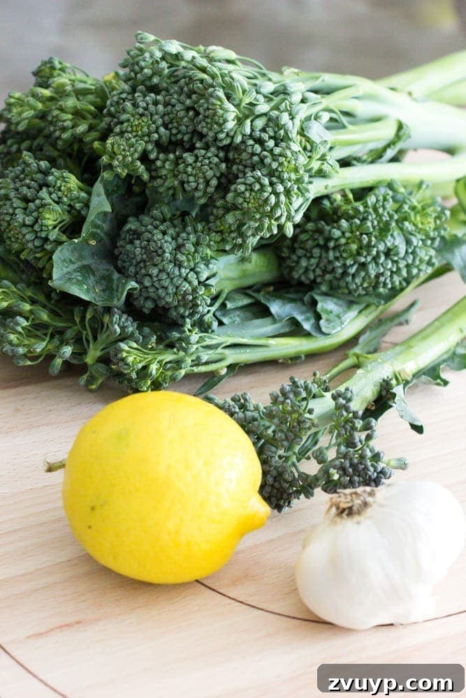 Whole30 Body Transformation: Your Beginner's Roadmap 5 My Whole30 Body Makeover | blesserhouse.com - Whole30 Beginner's Guide - Tips, recipes, and advice to lose weight, get more energy, and find success in healthy living.