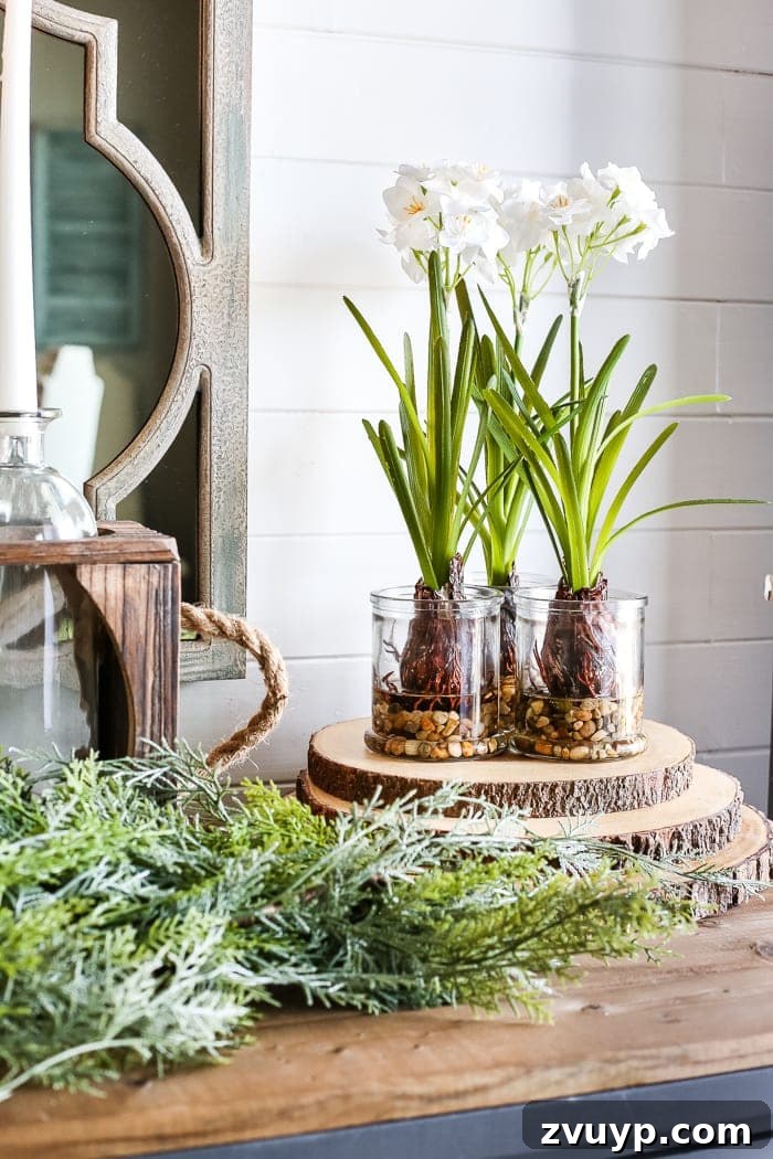 Transform Your Builder Home with Farmhouse Style 28 A farmhouse entryway with a vase of white hydrangeas on a console table, bringing natural freshness to the decor.