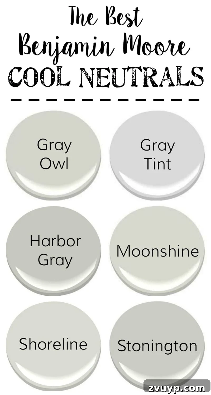 Unlock Timeless Style with Neutral Paint Colors 2 The Best Neutral Paint Colors - Cool grays from Benjamin Moore offer a serene and modern aesthetic with subtle blue or green undertones, perfect for creating an airy and sophisticated space.