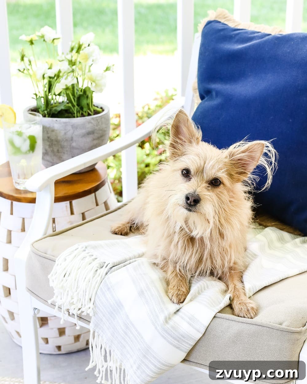 Crafting the Adaptable Outdoor Haven 15 The Secret to Arranging a Versatile Outdoor Space | blesserhouse.com - 1 trick for arranging a versatile outdoor space to get the most function out of a small porch, plus decorating ideas to make it inviting with TJ Maxx. #sponsored
